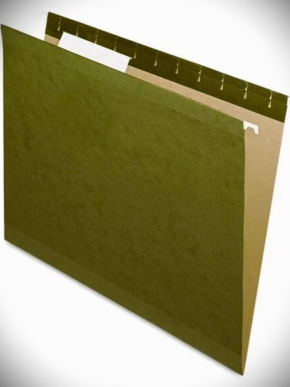 *𝓥𝓣𝓖 𝘏𝘢𝘯𝘨𝘪𝘯𝘨 𝘍𝘪𝘭𝘦 𝘍𝘰𝘭𝘥𝘦𝘳𝘴 Green Letter Size (25 folders)